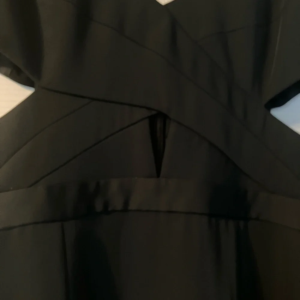 BCBGMaxAzria Black Backless Dress - Picture 9 of 15